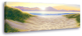 Cool Sands