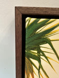 DAYBREAK IN FLOATING TIMBER FRAME 1540 x 785MM