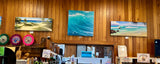 GALLERY WALK TAMBORINE MOUNTAIN - DISCOUNTED STOCK