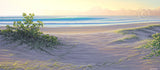 ONE PERFECT DAY 950 x 420MM - SAVE $160.00