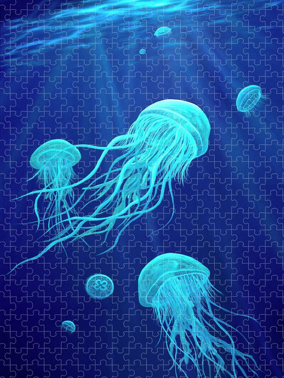 Jellyfish - Puzzle