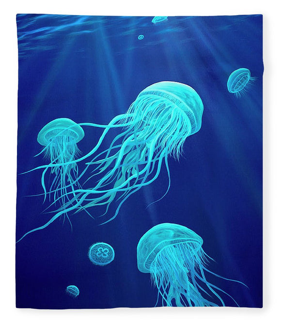 Jellyfish - Blanket